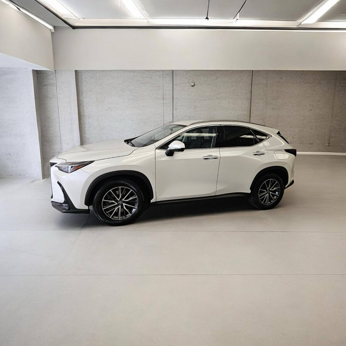 Lexus NX blanco detallado
